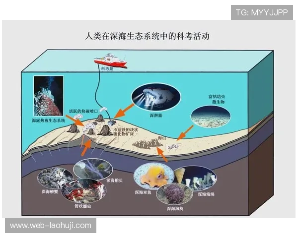 深海动物的保护与威胁：人类活动对深海生态系统的影响与应对措施