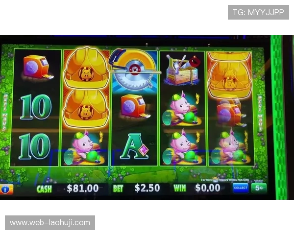 老虎机术语详解指南，助你成为真正的老虎机游戏专家