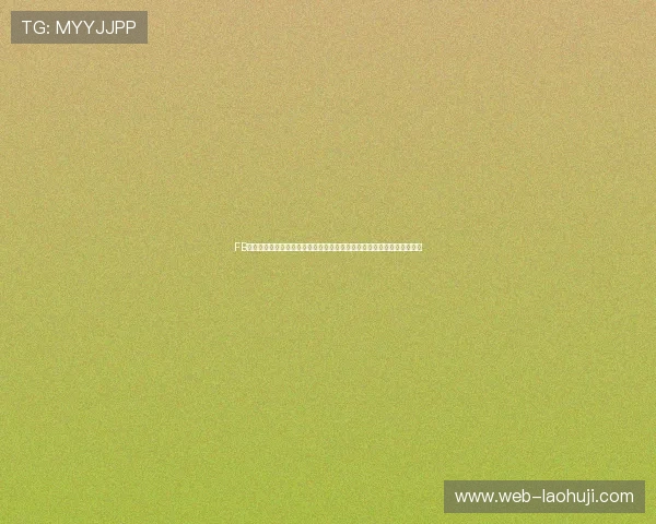 FB体育网页打造权威世界杯报道专区为用户提供全方位赛事信息和深度分析